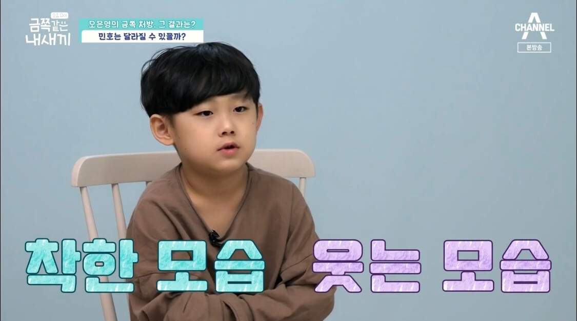 개선된 금쪽이