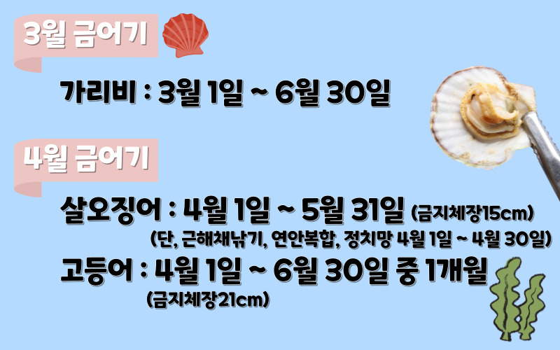 금어기2
