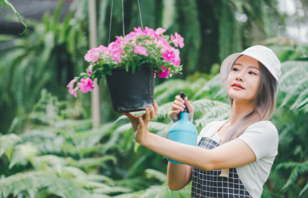 청년-월세-지원-신청-방법