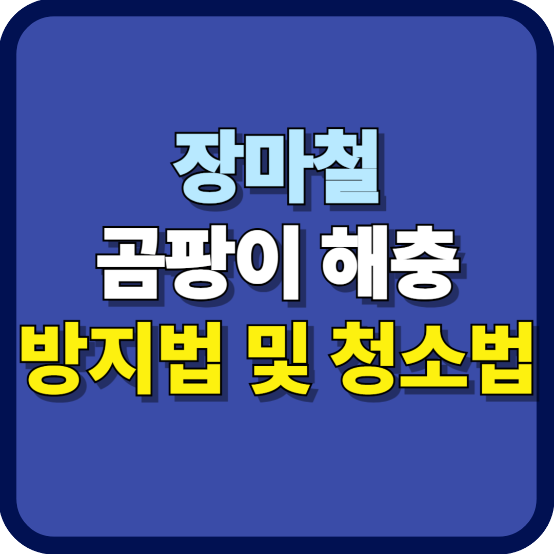 곰팡이 해충 방지법 청소법