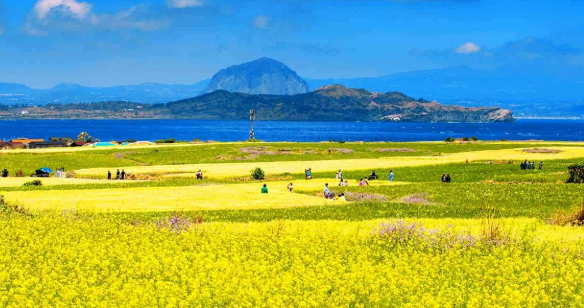 5월 여행지 추천