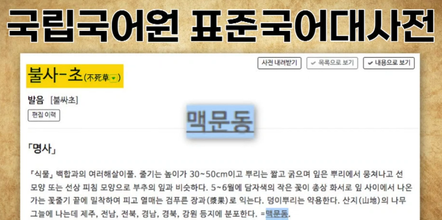 맥문동