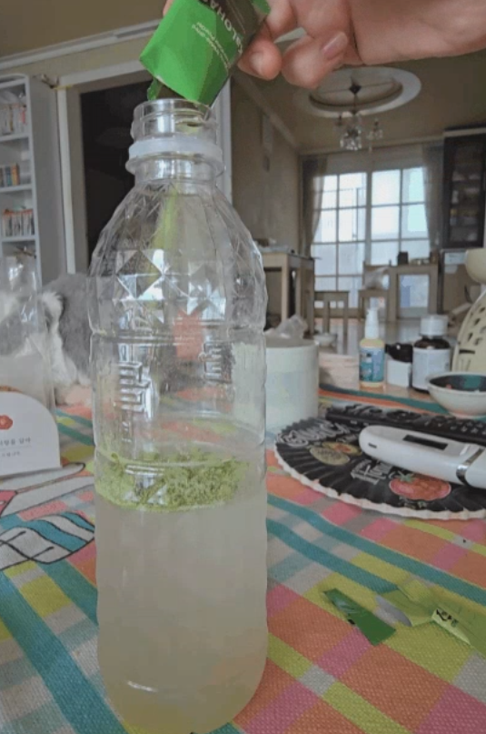 칼로하스케일 효과