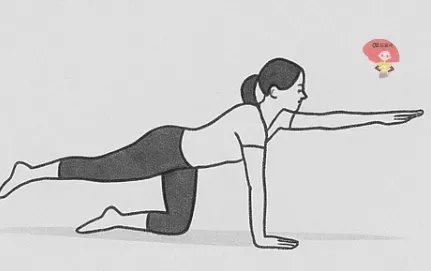 스트레칭-버드독-자세