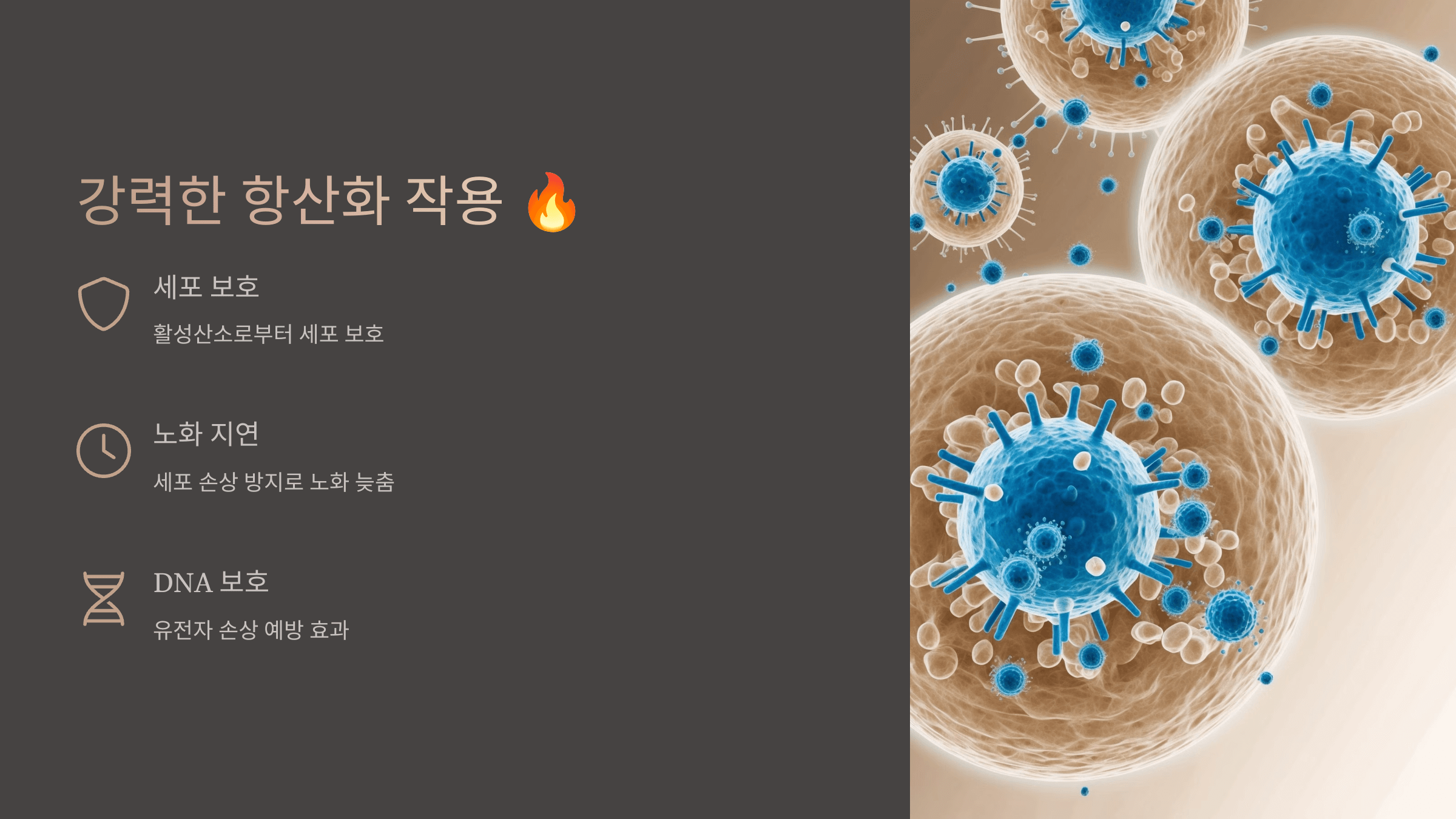 폴리페놀과 관련된 사진입니다.