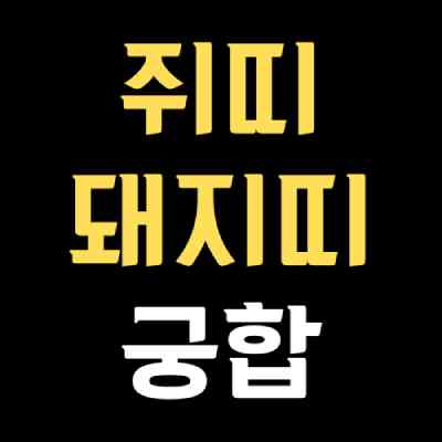 쥐띠 돼지띠 궁합