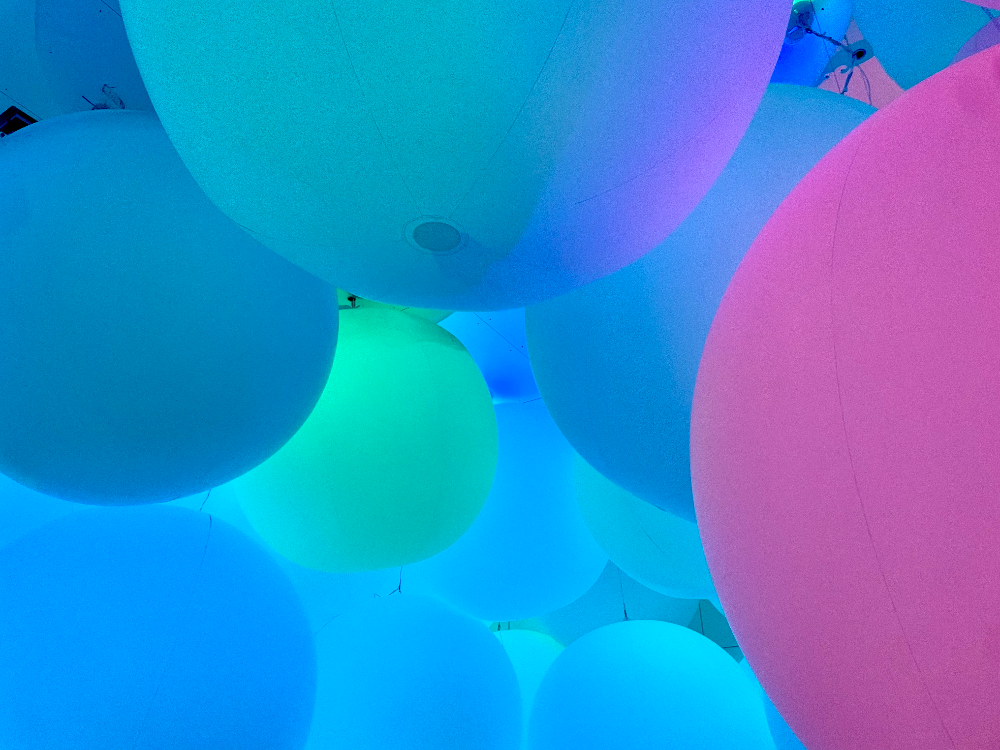 일본 도쿄 팀랩플래닛 관람-평면화하는 세 가지 색과 모호한 아홉 가지 색