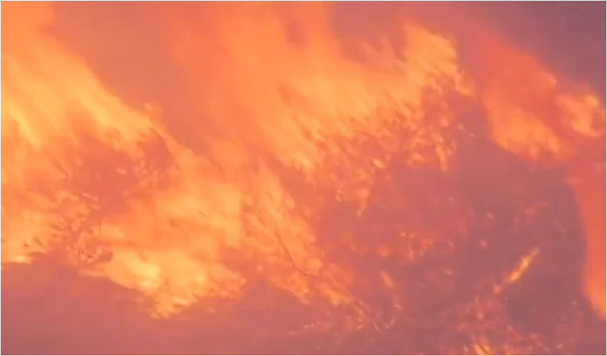 경북-산불-피해