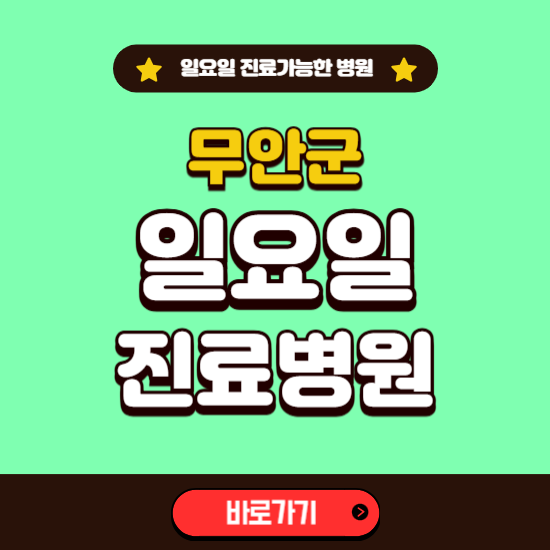 무안군 일요일 진료 가능한 병원 ❘ 주말 문여는 곳 총정리 (소아과, 내과, 안과, 치과, 피부과, 정형외과, 산부인과)