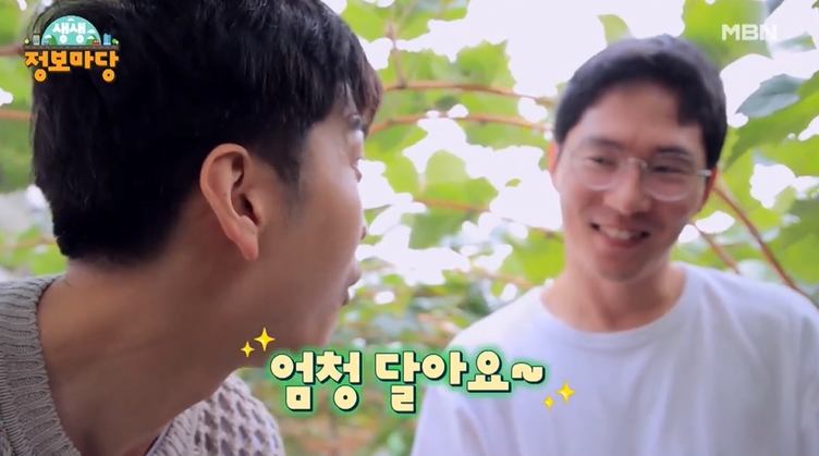 생활의 기술 달콤한 유혹 샤인머스캣 엄청 달달한 청포도 경북 김천 명물 추천