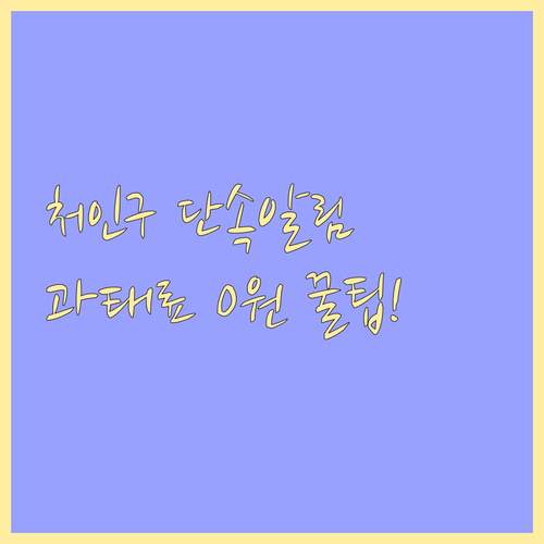 용인 처인구 주정차 단속 알림 신청 ..