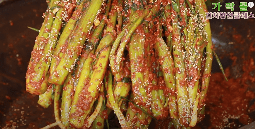 갓김치 담그는법 황금 레시피