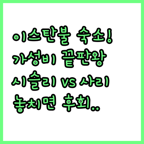 이스탄불 숙소 선택 가이드 뷰 위치 ..