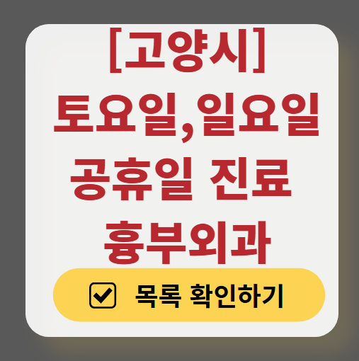 고양시 주말 토요일 일요일 흉부외과 진료 병원 목록 ❘ 공휴일 진료 영업 병원 리스트 찾기