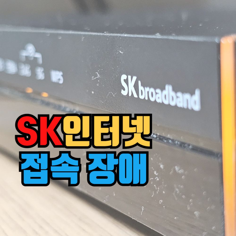 SK 인터넷 접속 장애 원인