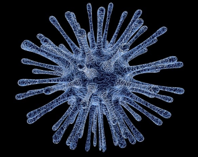 니파바이러스(Nipah Virus) 정보 & 감염 예방법