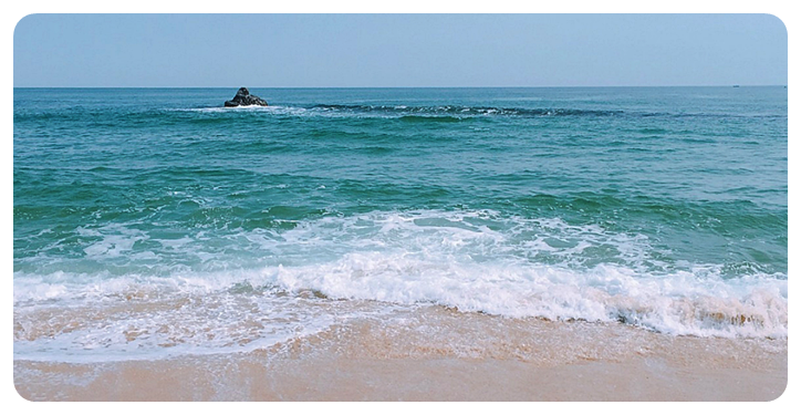 안목해변
