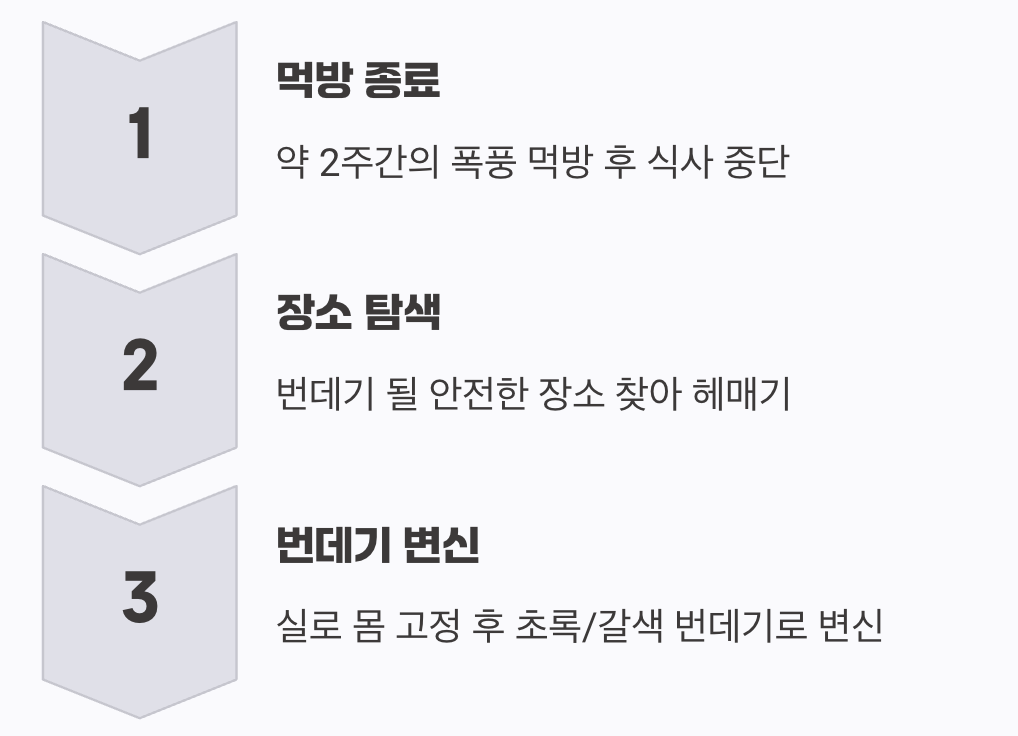 움직임을 멈춘 기다림의 시간&amp;#44; 번데기