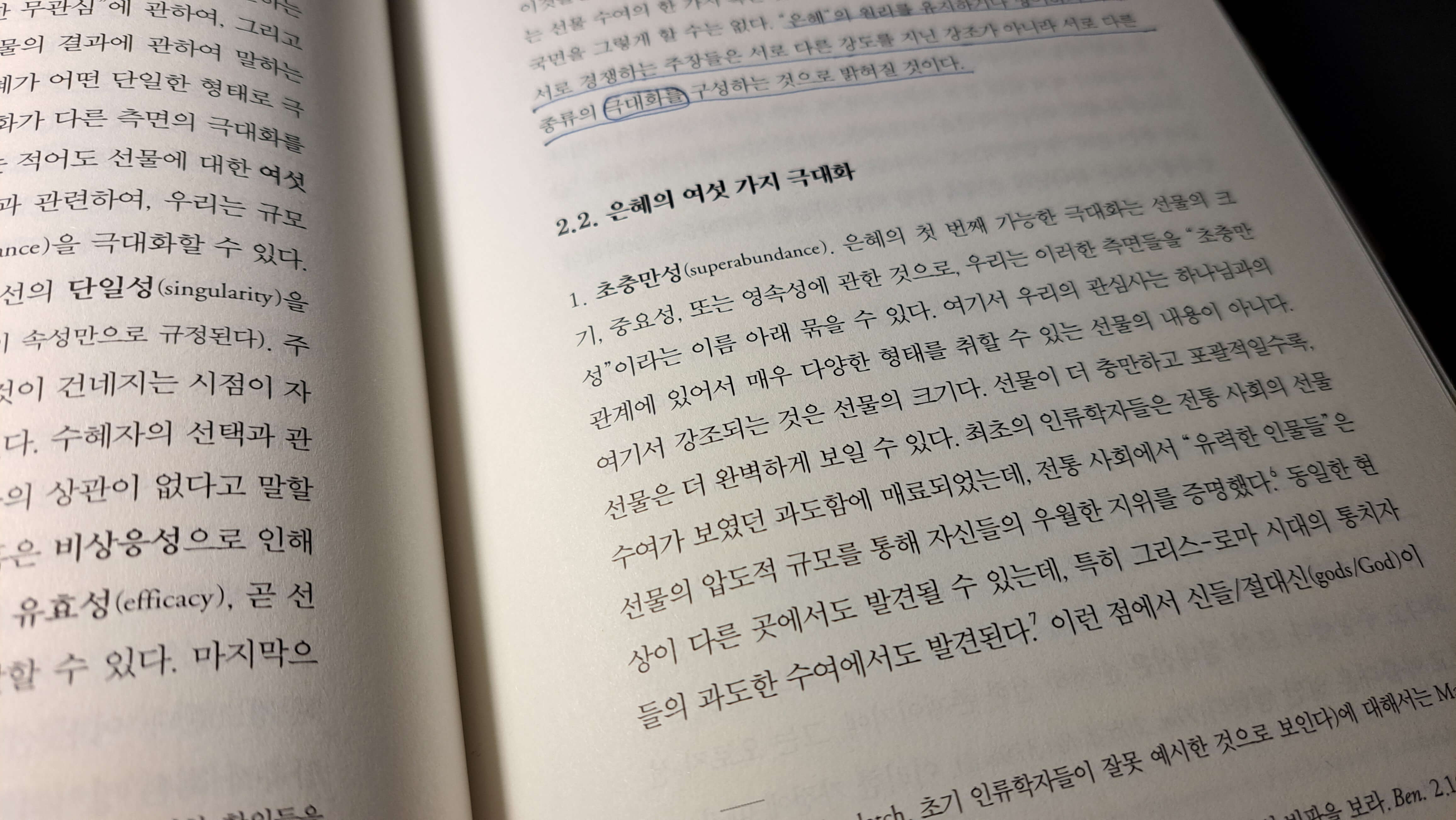 은혜의 6가지 극대화