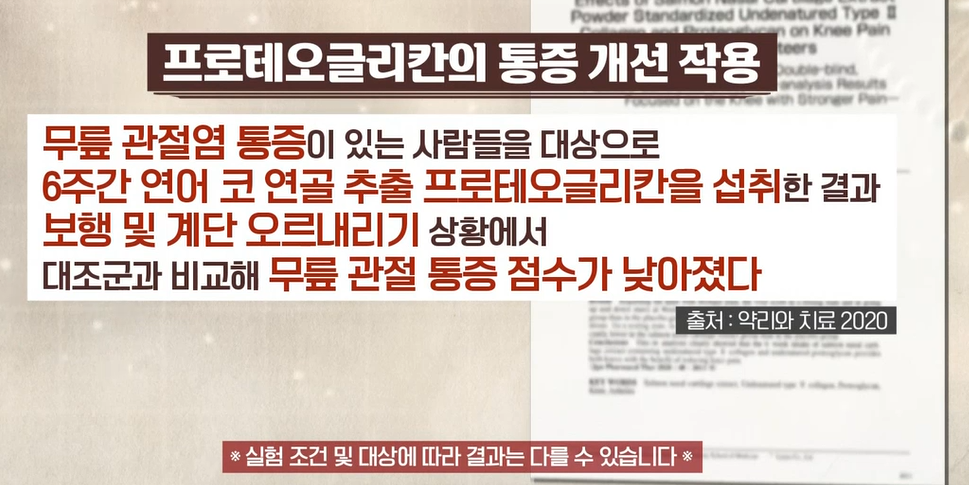 프로테오글리칸 효능