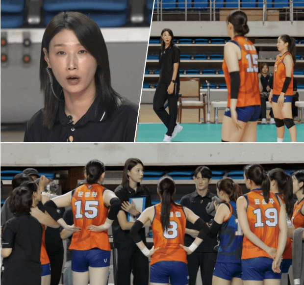 원더독스 배구단