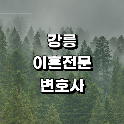 강릉시 이혼 변호사