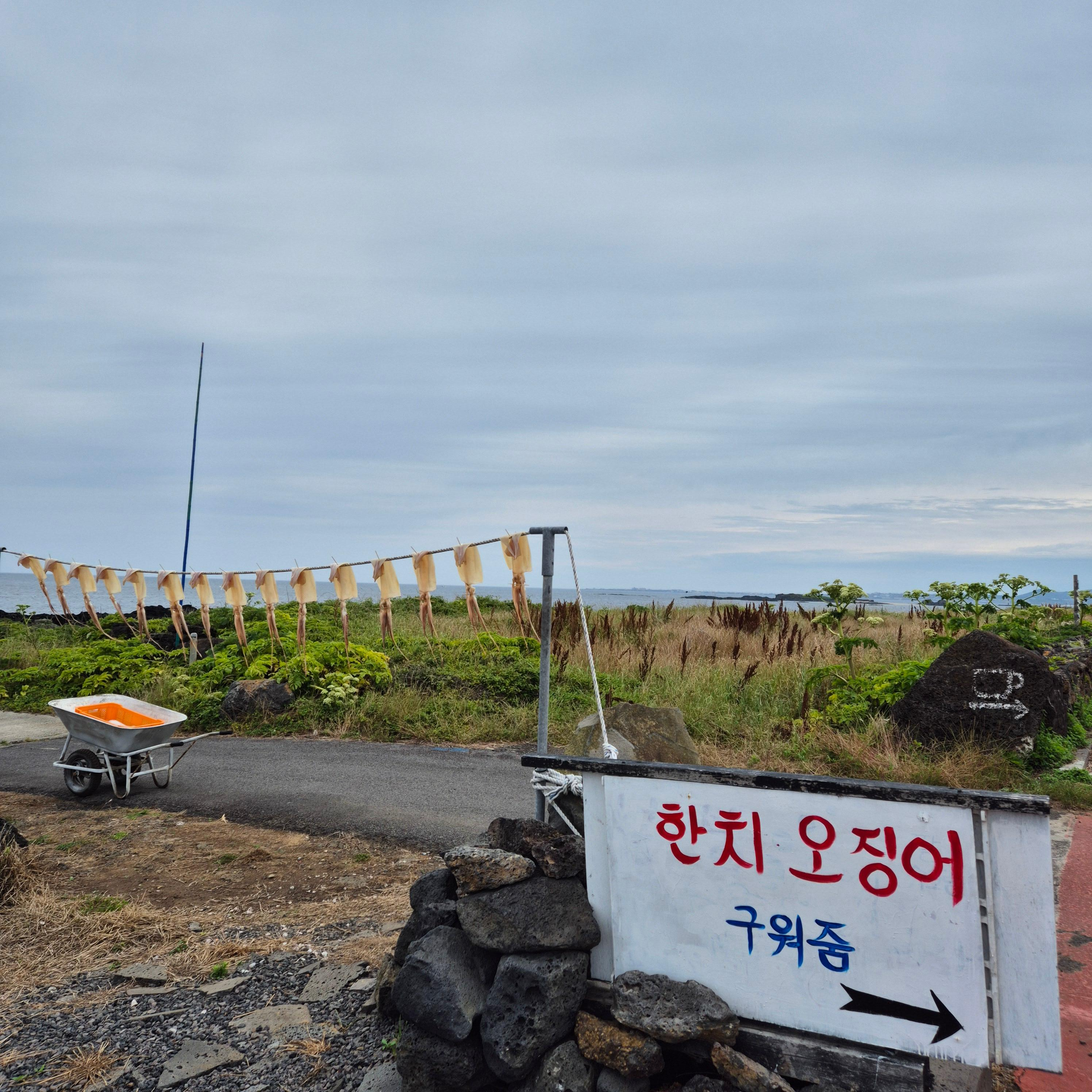 올레길 21코스, 제주올레 21코스, 지미봉, 종달리, 하도해녀박물관, 제주올레길, 종달바당, 제주여행코스, 올레길후기, 제주동부여행