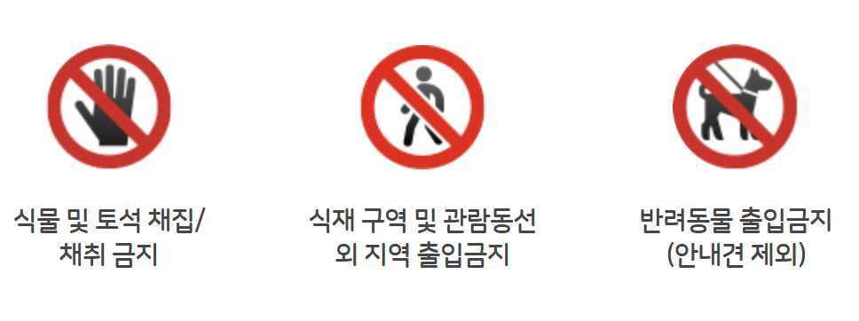 부천 수피아 야간개장 예약방법 및 카페 주차정보 주변 맛집 1분 요약