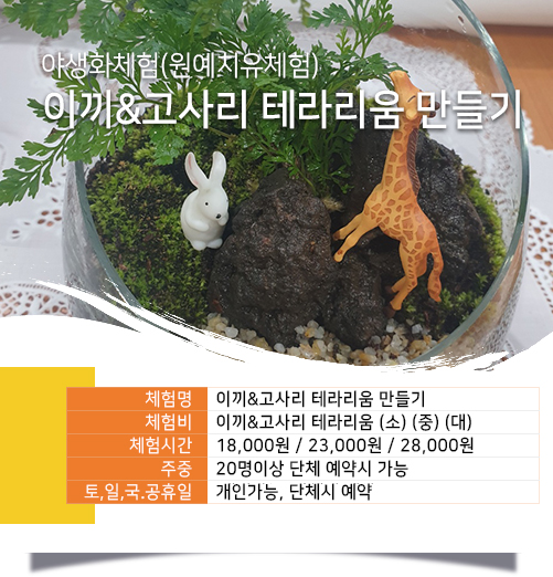 이끼 &amp; 고사리 테라리움 만들기 