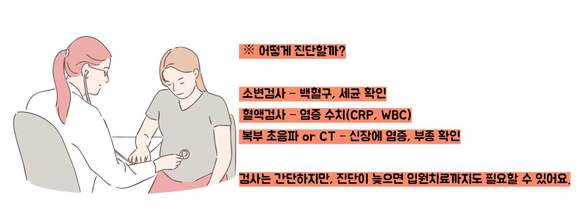신우신염 증상