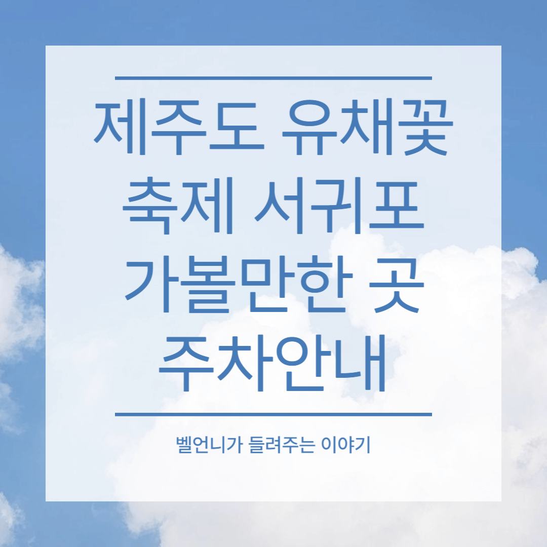 제주도 유채꽃 축제 서귀포 가볼만한 곳 주차안내