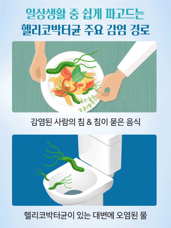 주요감염 경로