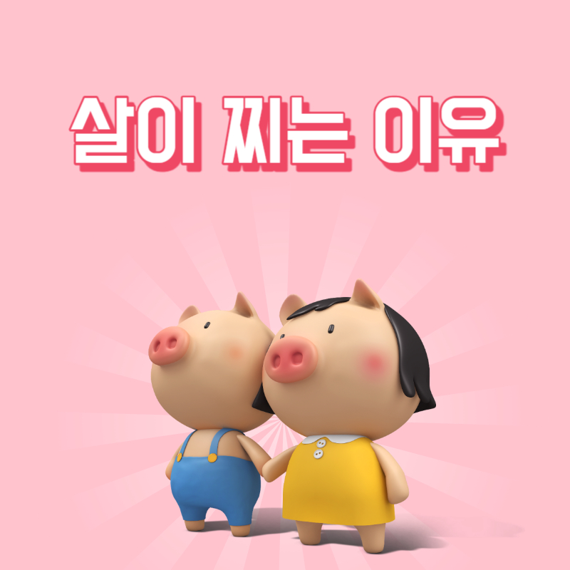 살이 찌는 이유