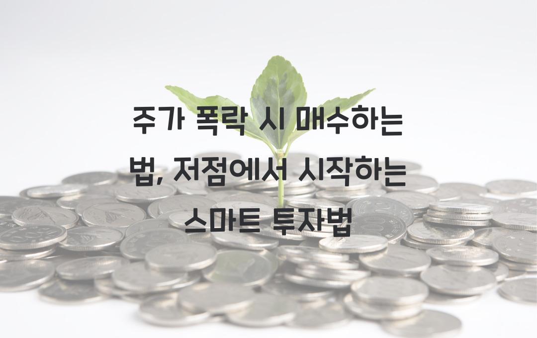 주가 폭락 시 매수하는 법 (저점 매수 전략 & 분할 매수 활용법)