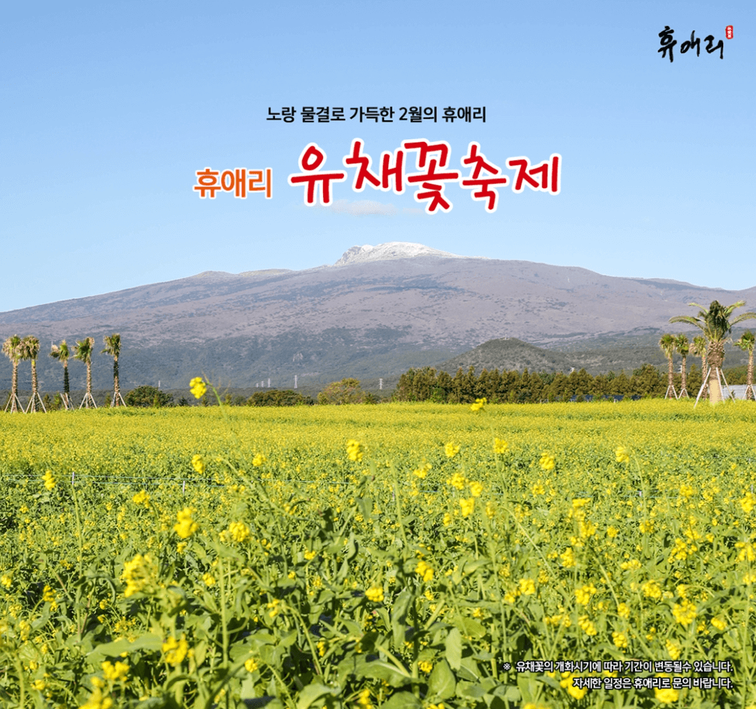 제주도 4월 축제 일정 총정리