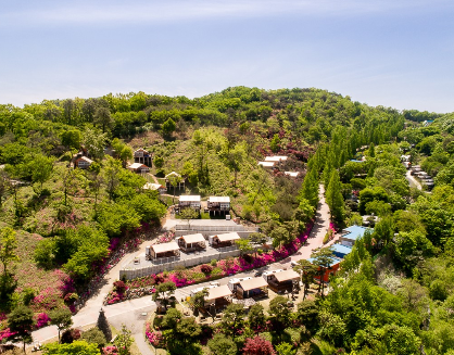 동화힐링캠프글램핑 관련 사진