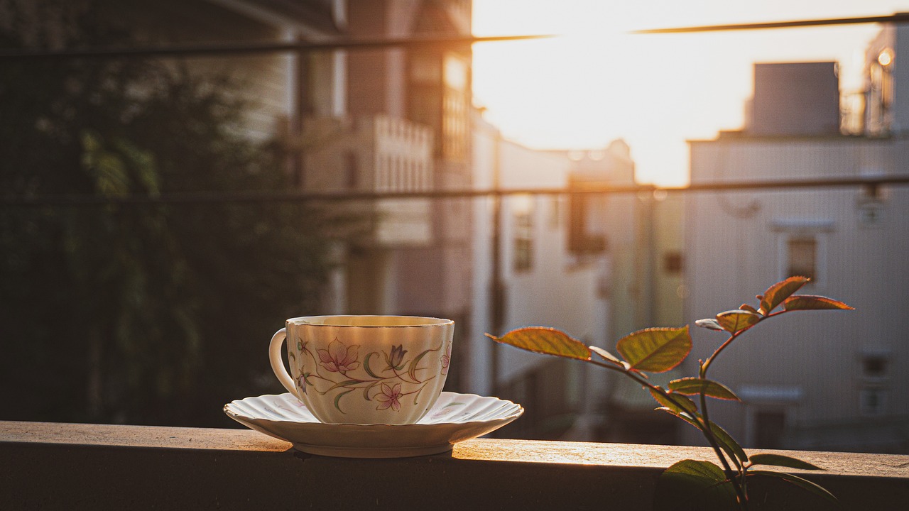 고지혈증에 좋은 한방차