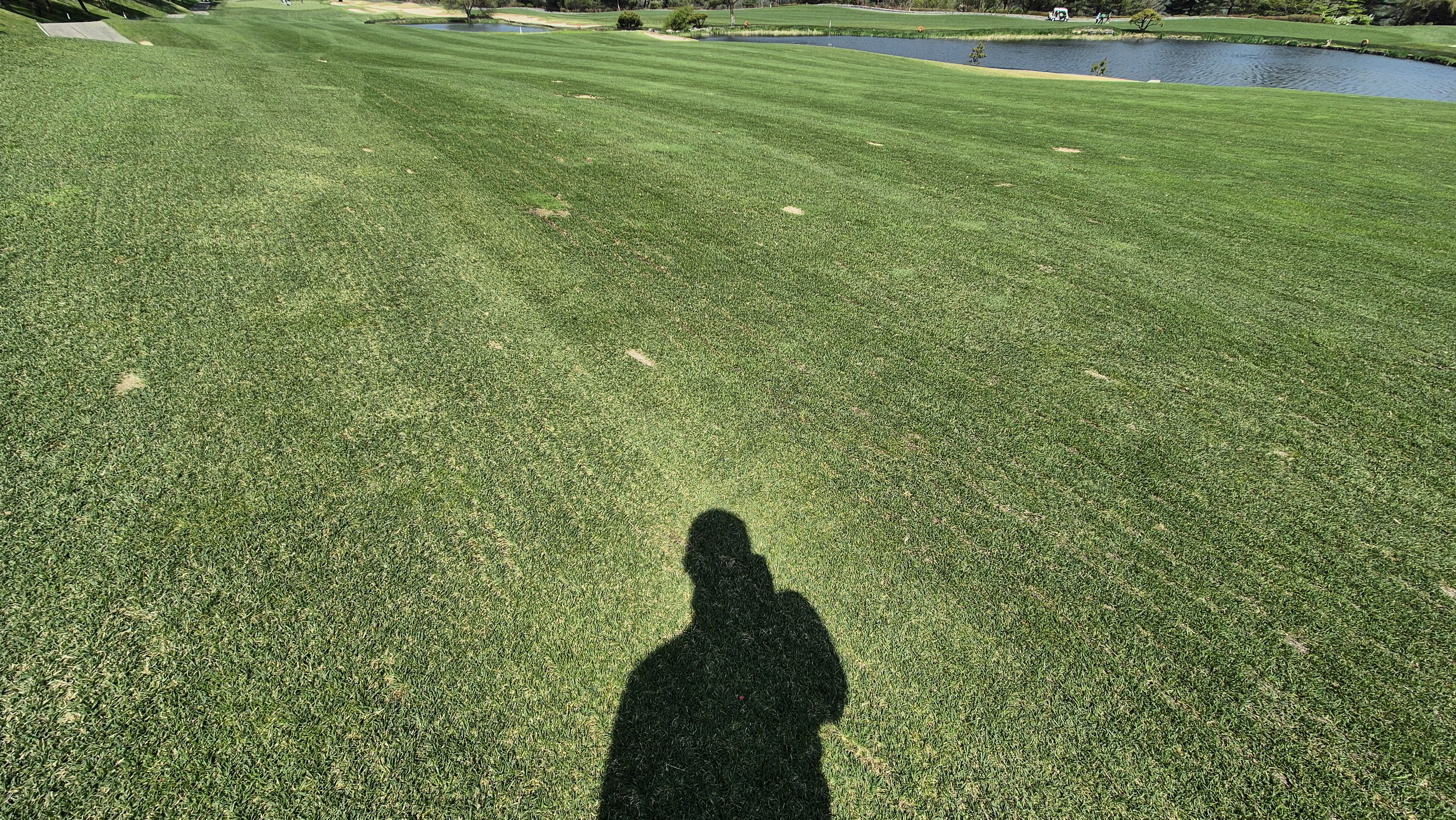 소노펠리체cc 비발디파크 웨스트