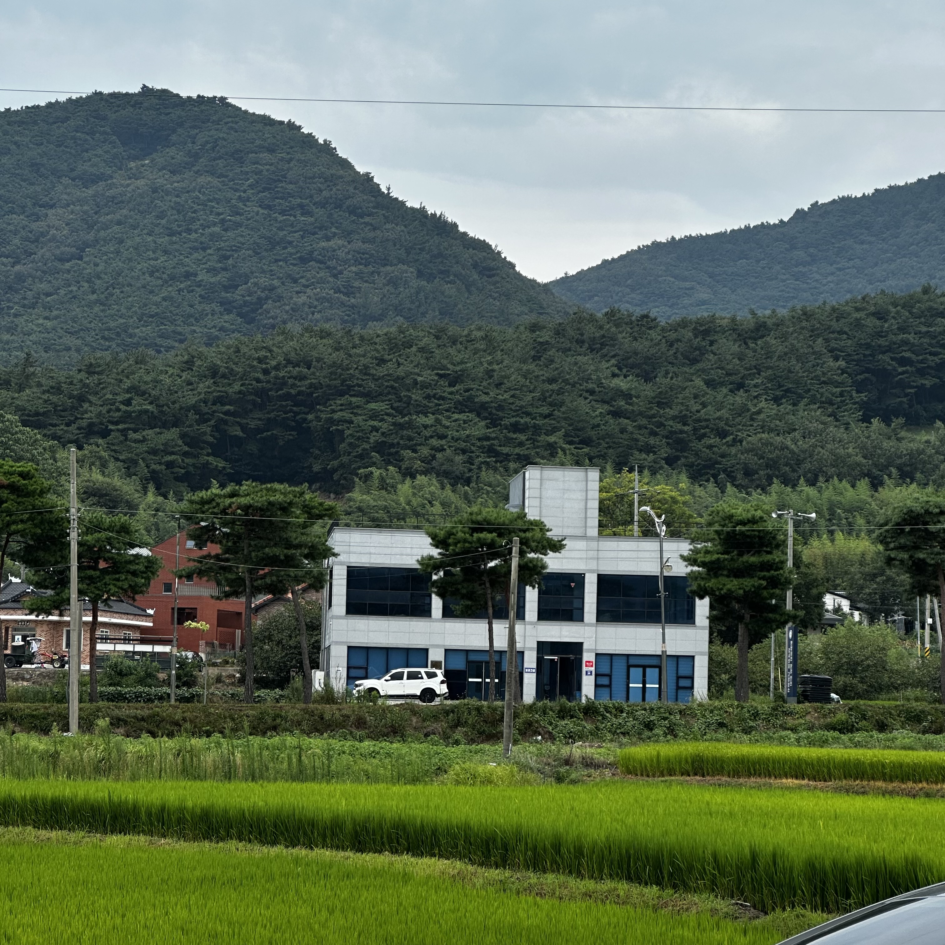 고창 엘피카페 까사 논밭뷰
