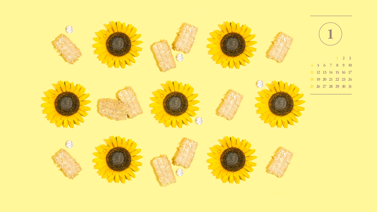 05 7개의 해바라기 A - 2026년1월 달력배경화면