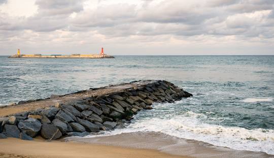 강릉 주문진 도깨비