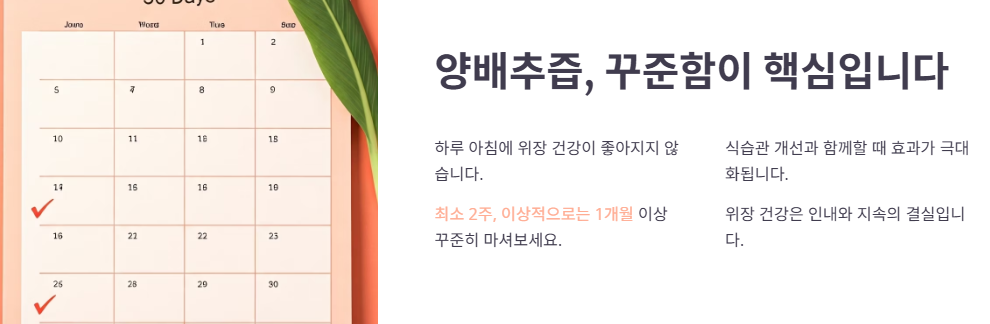 양배추즙 최종 점검!