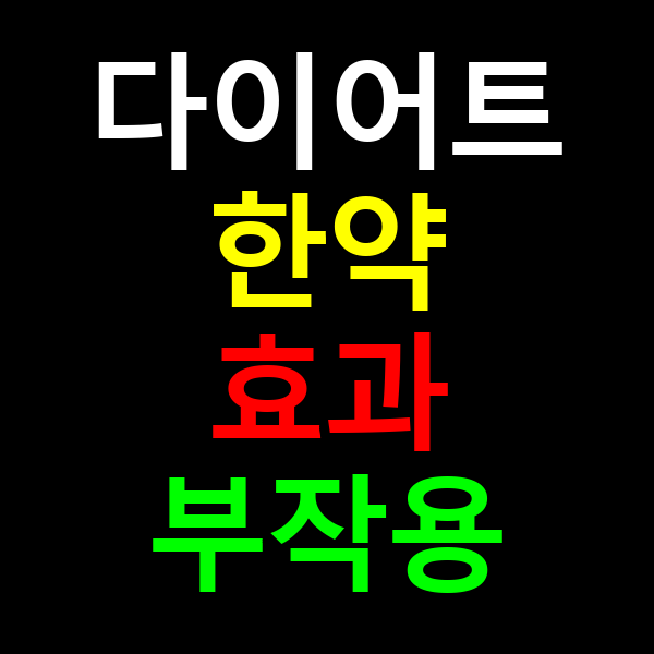 다이어트 한약 효과 부작용