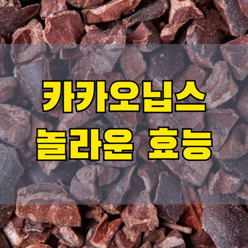 카카오닙스의 놀라운 효능 영양 성분