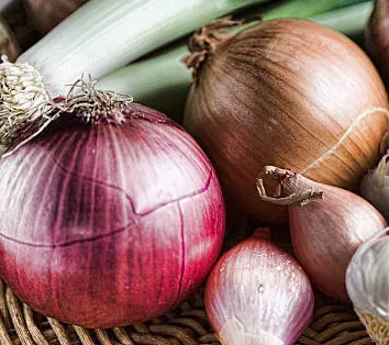 고양이가 먹지 말아야 할 음식과 이유