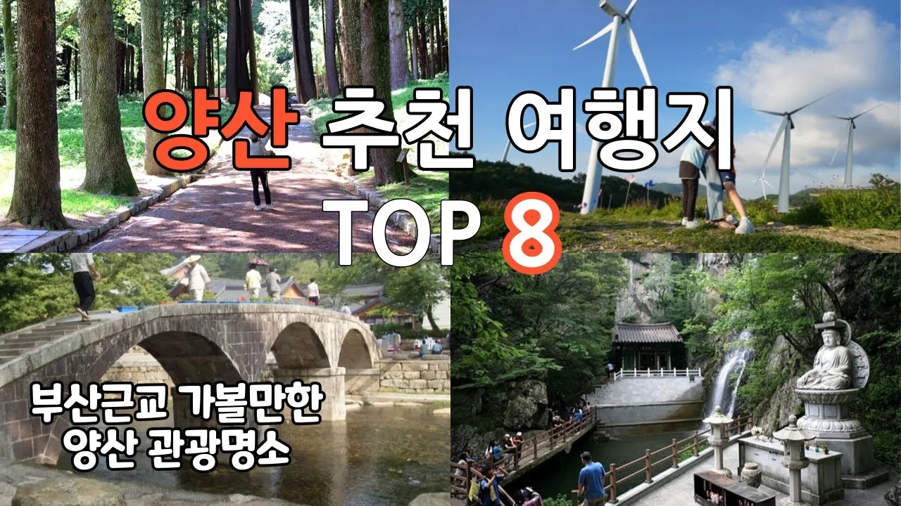 양산 가볼만한곳 추천 맛집 카페 여름 BEST 10_2
