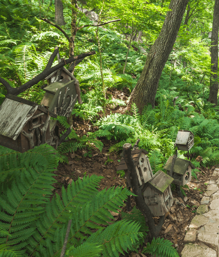 2025 화담숲 예약방법 총정리! 입장료&amp;#44; 모노레일&amp;#44; 교통&middot;주차&amp;#44; 할인 혜택