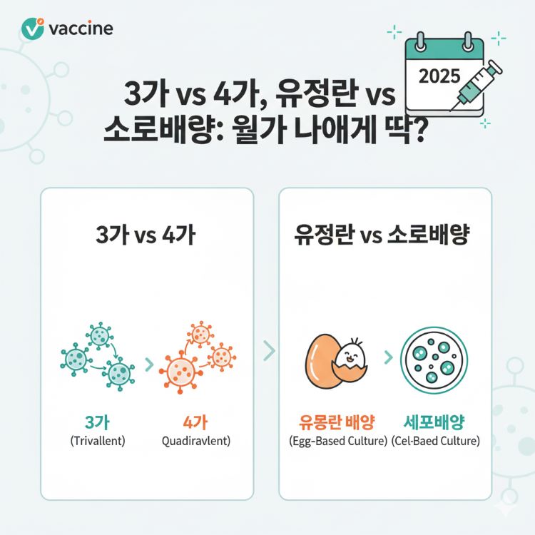밝고 교육적인 일러스트 스타일, 왼쪽에 3가·4가 바이러스 아이콘(3개 vs 4개 원형) 비교, 오른쪽에 유정란과 세포 배양 접시 아이콘, 배경에 2025 달력과 백신 주사기, 텍스트 오버레이 “3가 vs 4가, 유정란 vs 세포배양: 뭐가 나에게 딱?” 청록·주황 톤으로 신뢰감 강조
