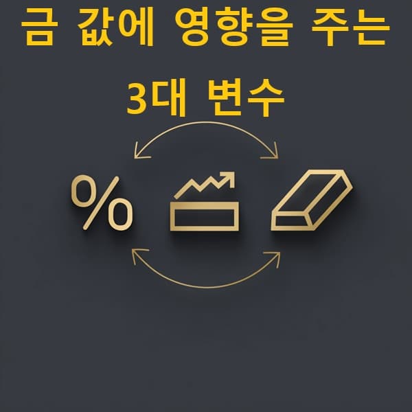 금리·물가·금 상관관계 인포그래픽