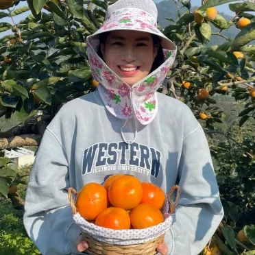 태추단감 이란 아직도 그냥 단감이라고 생각하세요 feat 일반 단감과 완벽 비교 분석으로_12